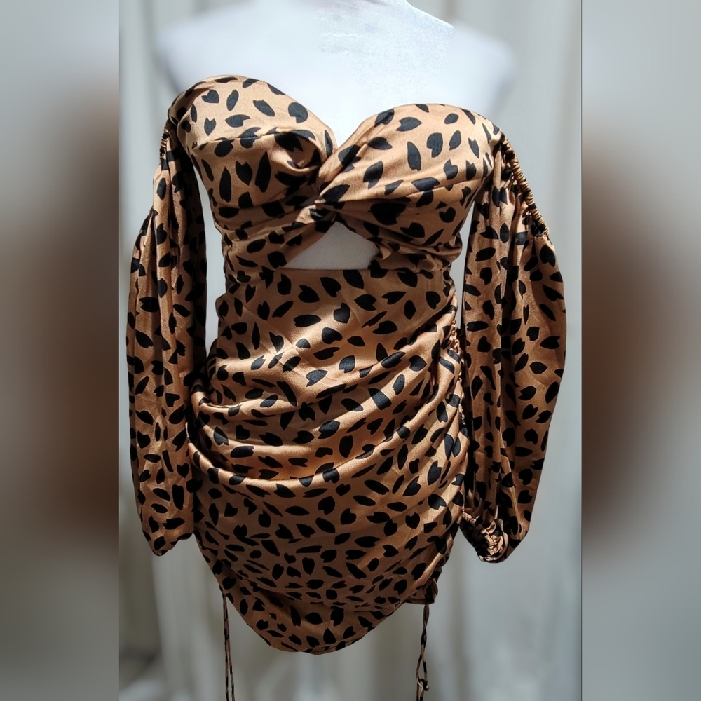 Leopard Mini Dress - Picture 3 of 5